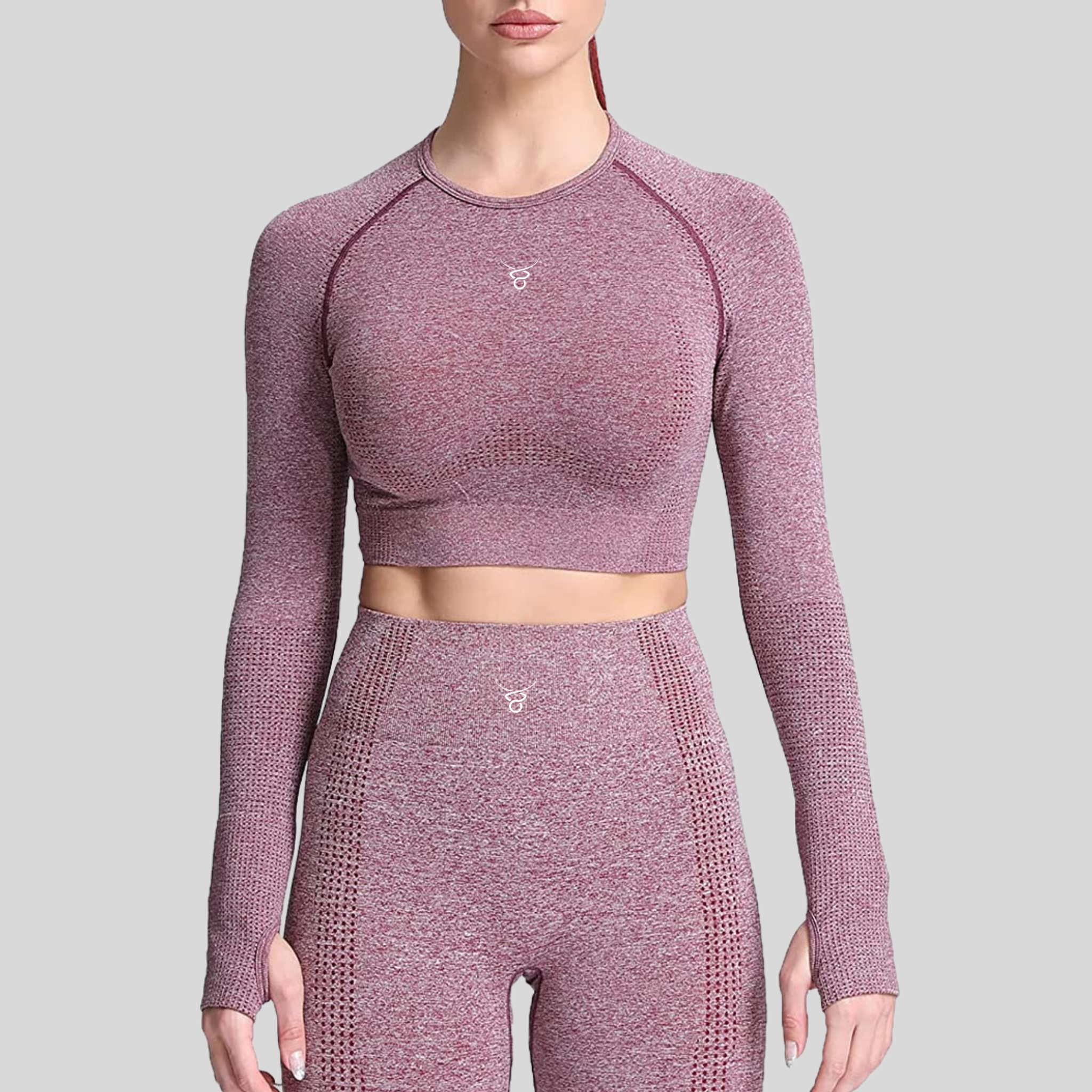 Orbit Seamless Long Sleeve Crop Top – Oxcord